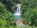 dsc00109.JPG